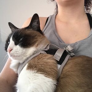 Meet your Posher, Loryn